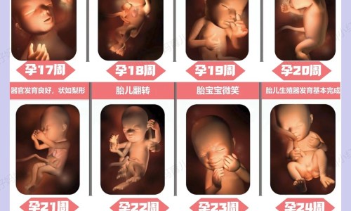 天津格林国际幼儿园学费、番薯鱼怎么做好吃 -番薯鱼营养价值及功效与禁忌网
