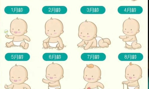 天津格林国际幼儿园学费-天津格林国际幼儿园学费、番薯鱼怎么做好吃 -番薯鱼营养价值及功效与禁忌网